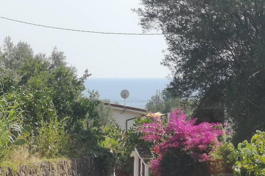 Cilento Mare, Bellissima Con Ampio Giardino *