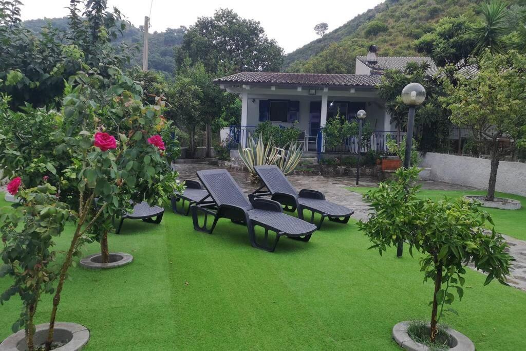 Cilento Mare, Bellissima Con Ampio Giardino * Capitello